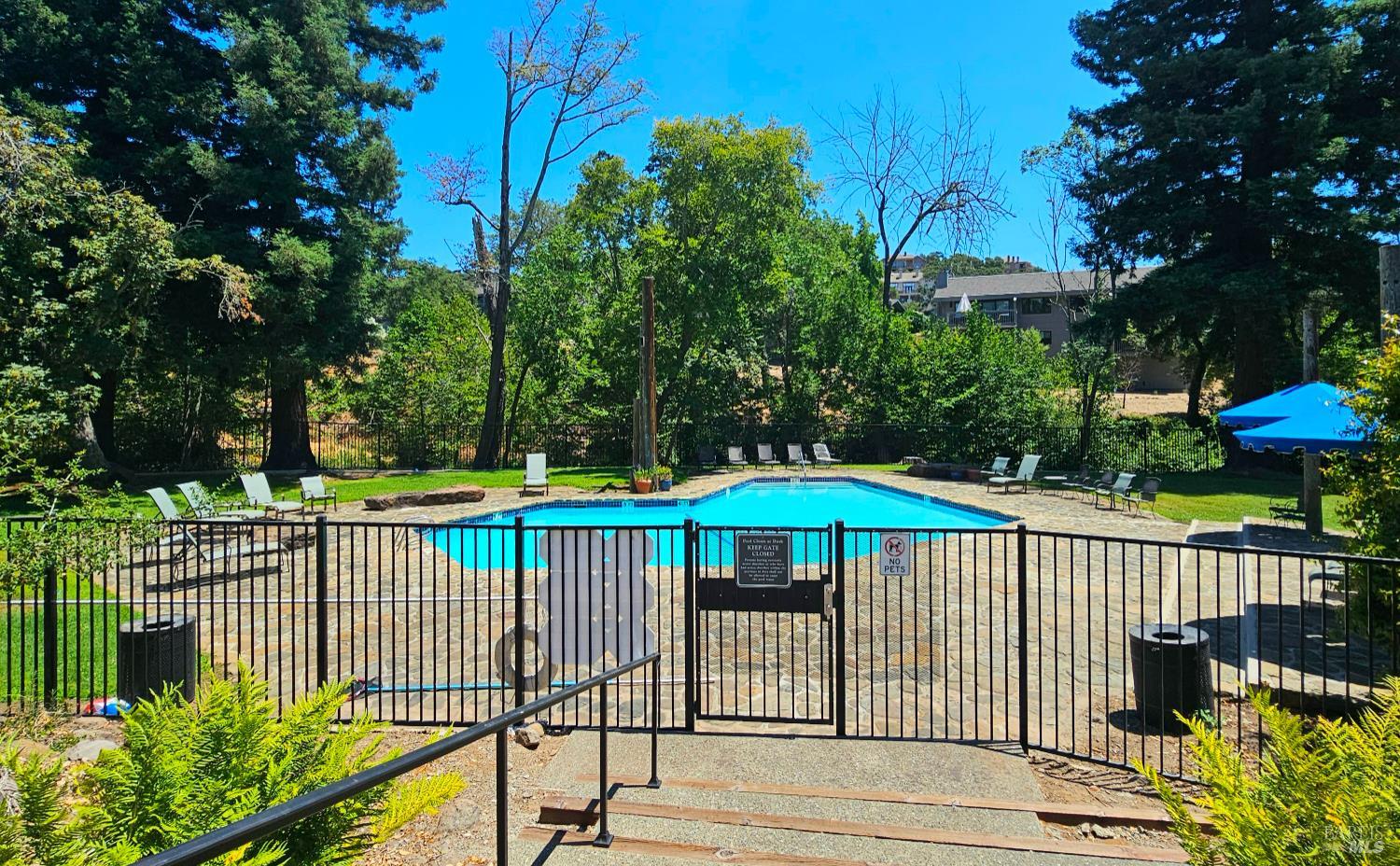164 Bonnie Brook Dr