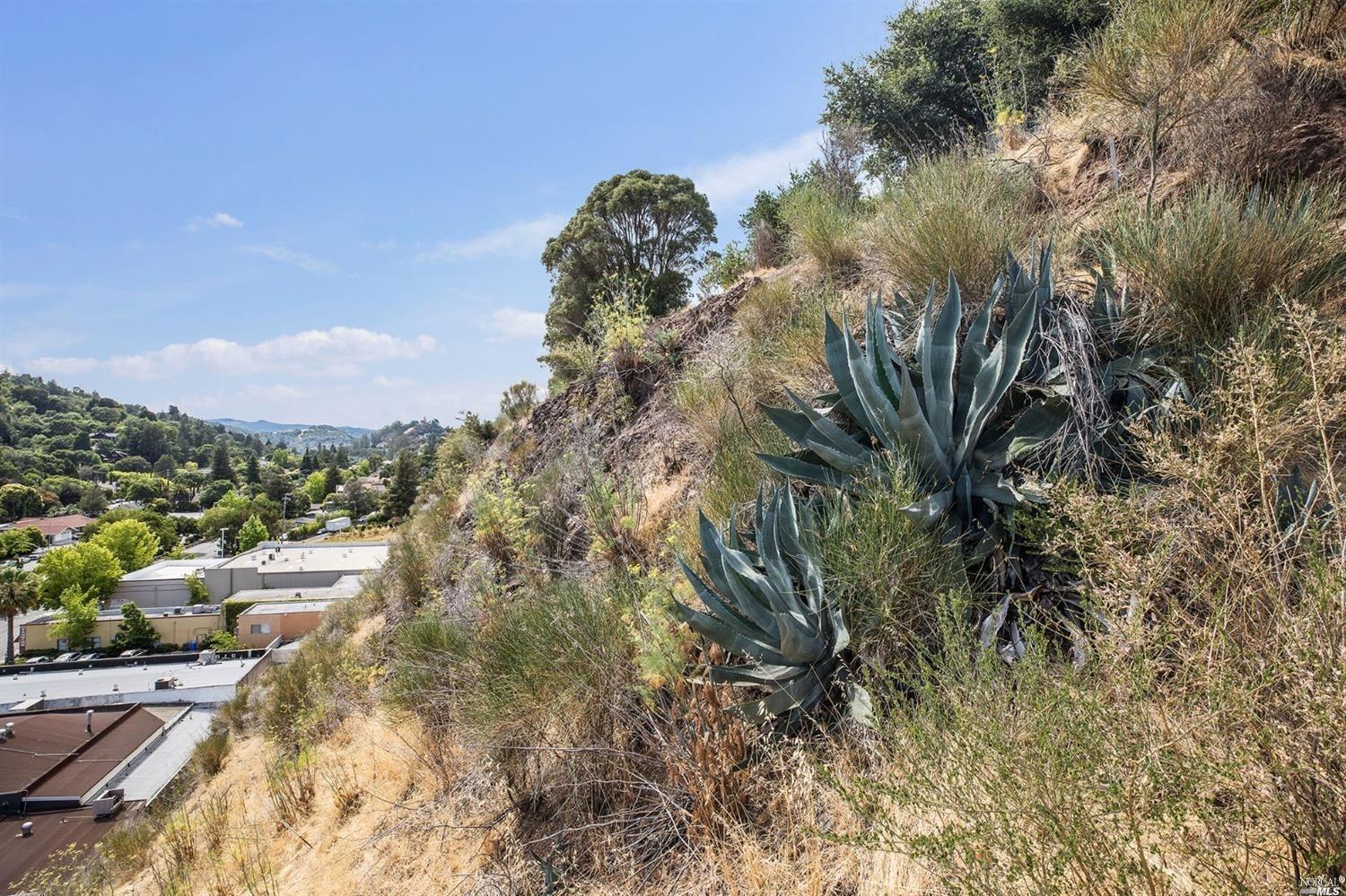 51 El Camino Avenue