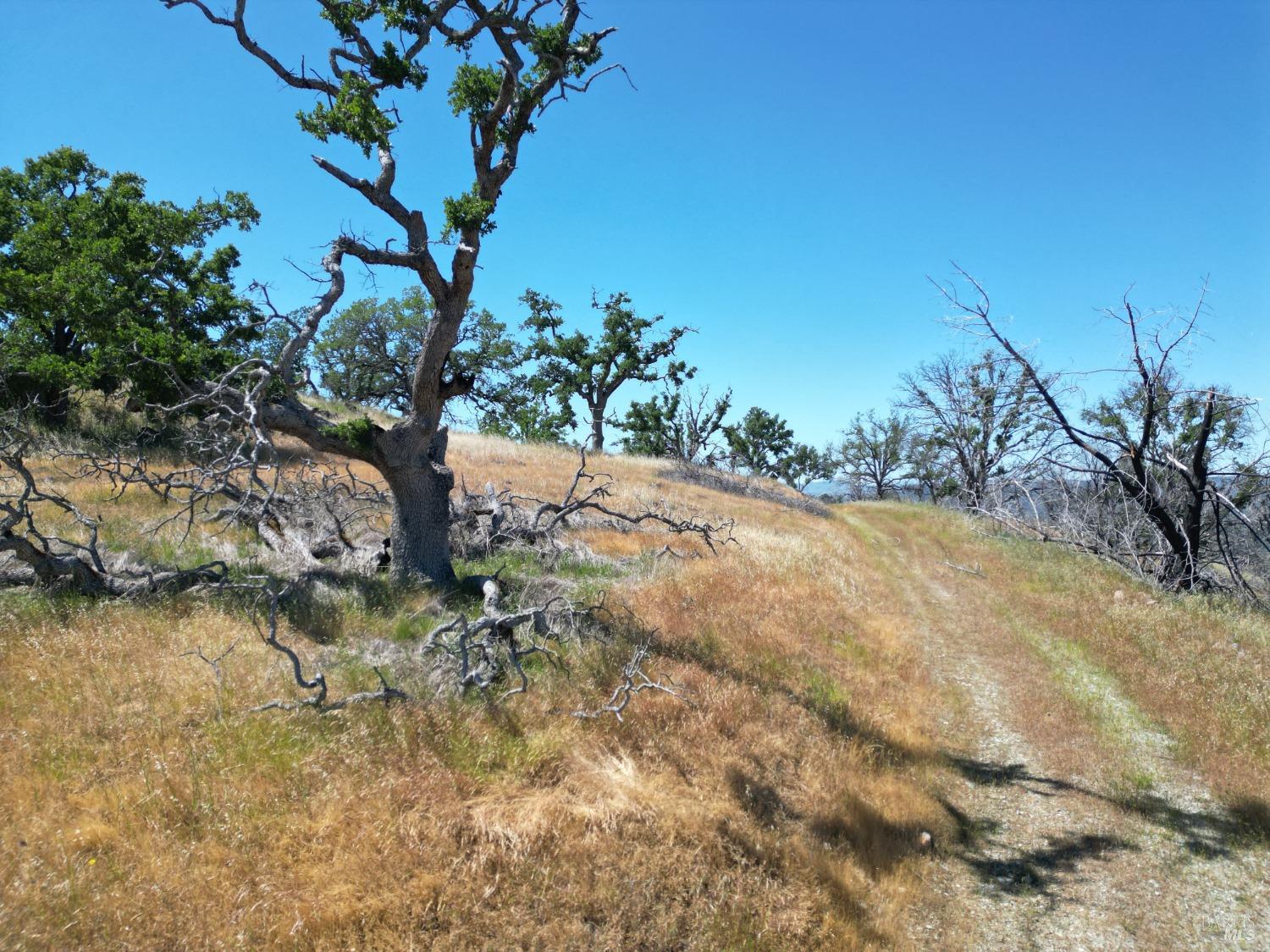 0 Pope Canyon Road