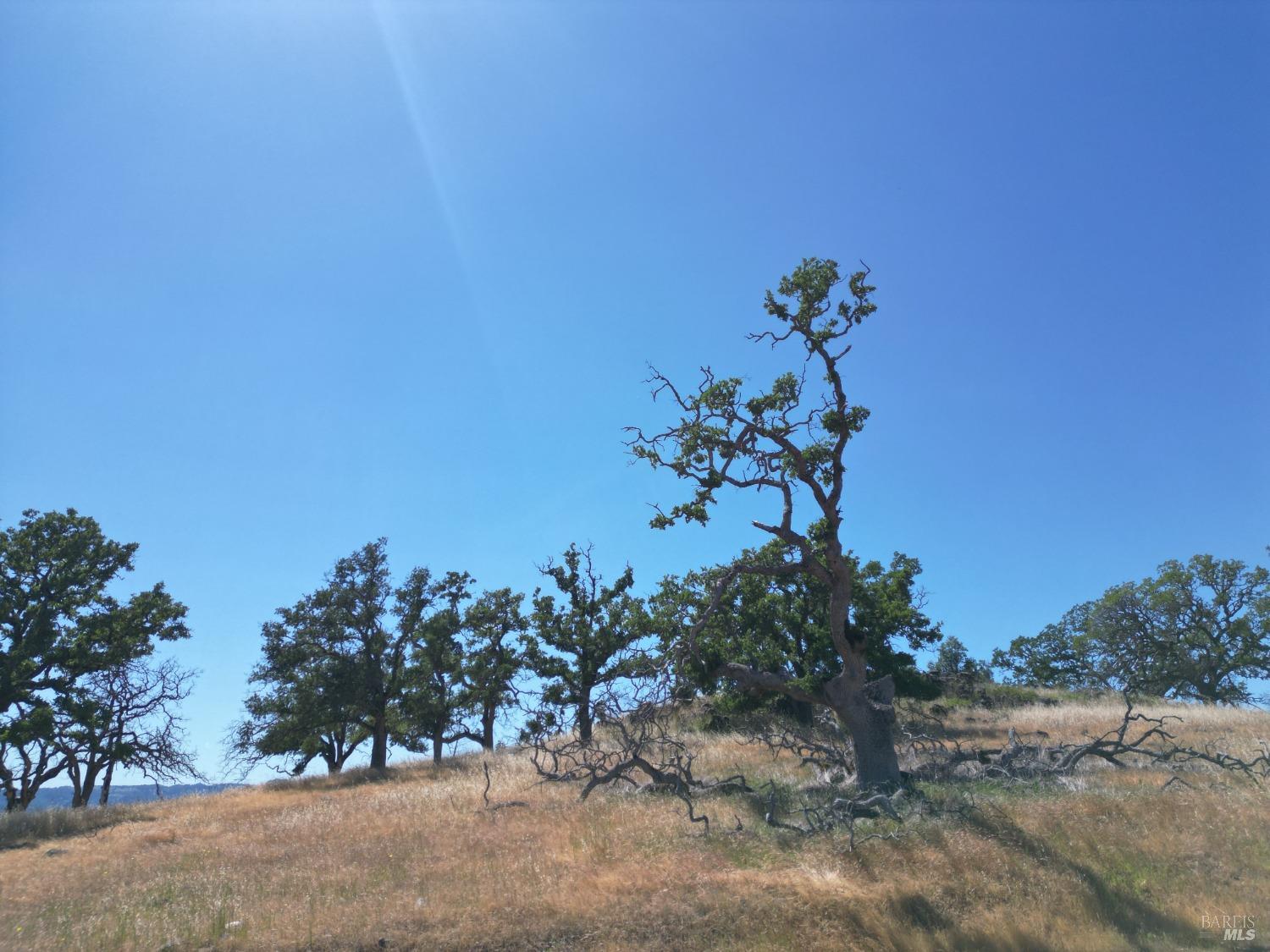 0 Pope Canyon Road