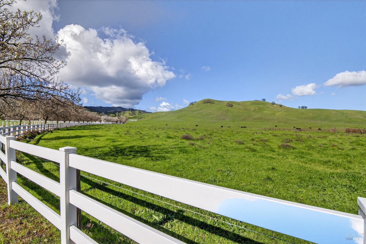 3467 Blue Mountain Drive