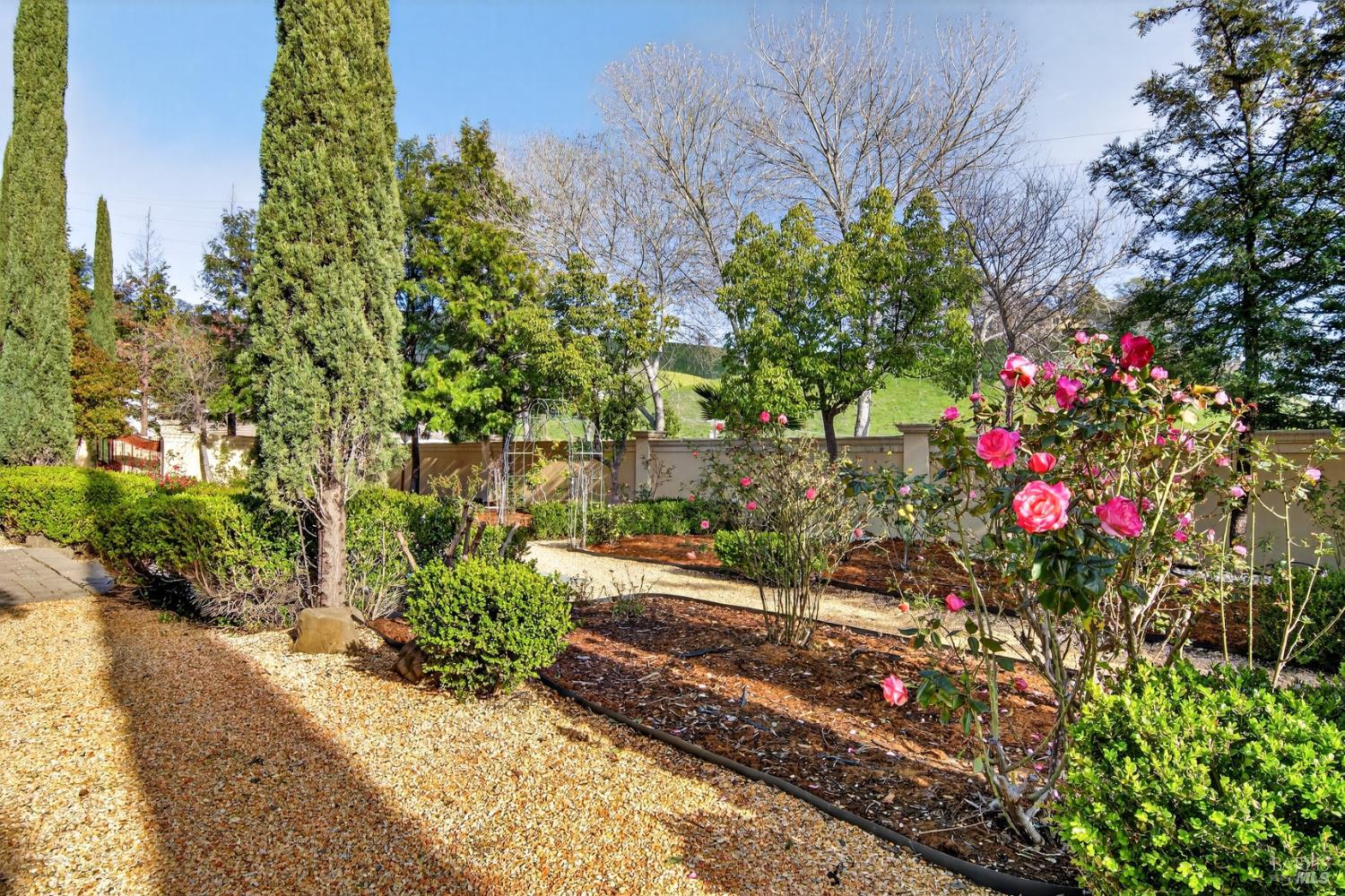 3467 Blue Mountain Drive