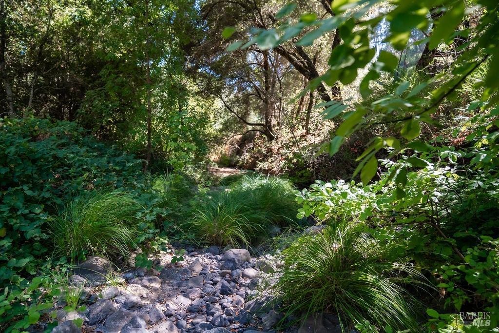0 Mount Veeder Road