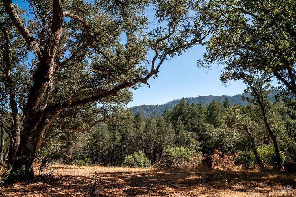 0 Mount Veeder Road