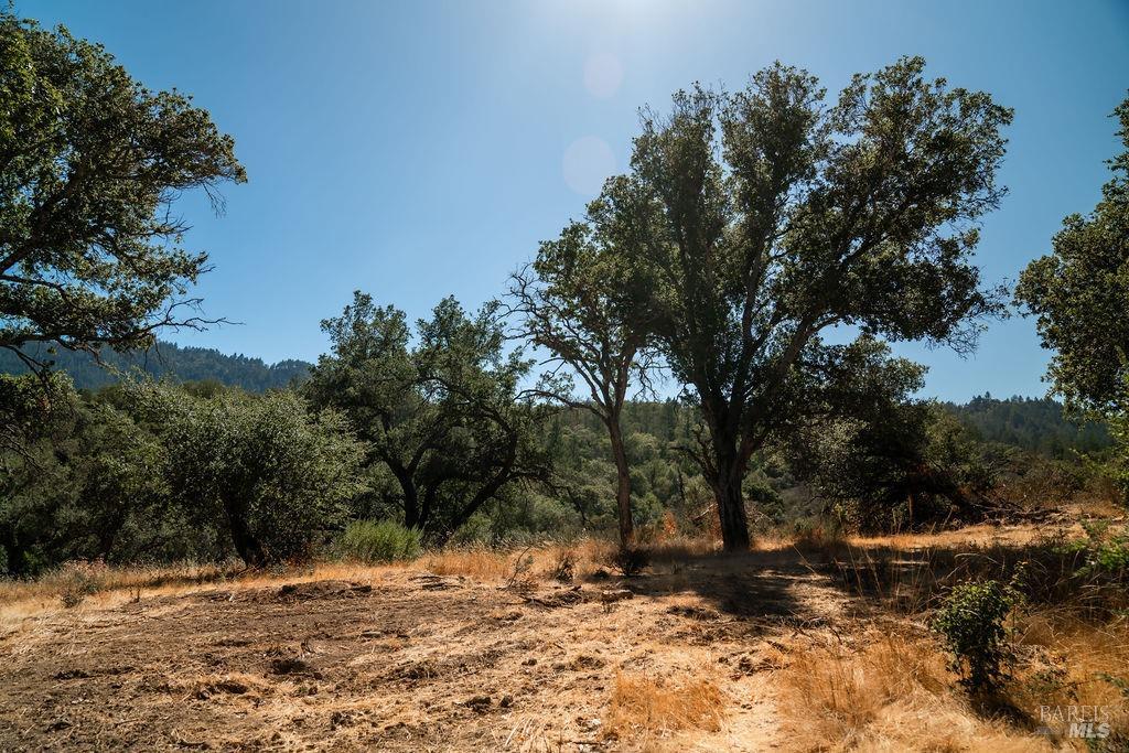 0 Mount Veeder Road