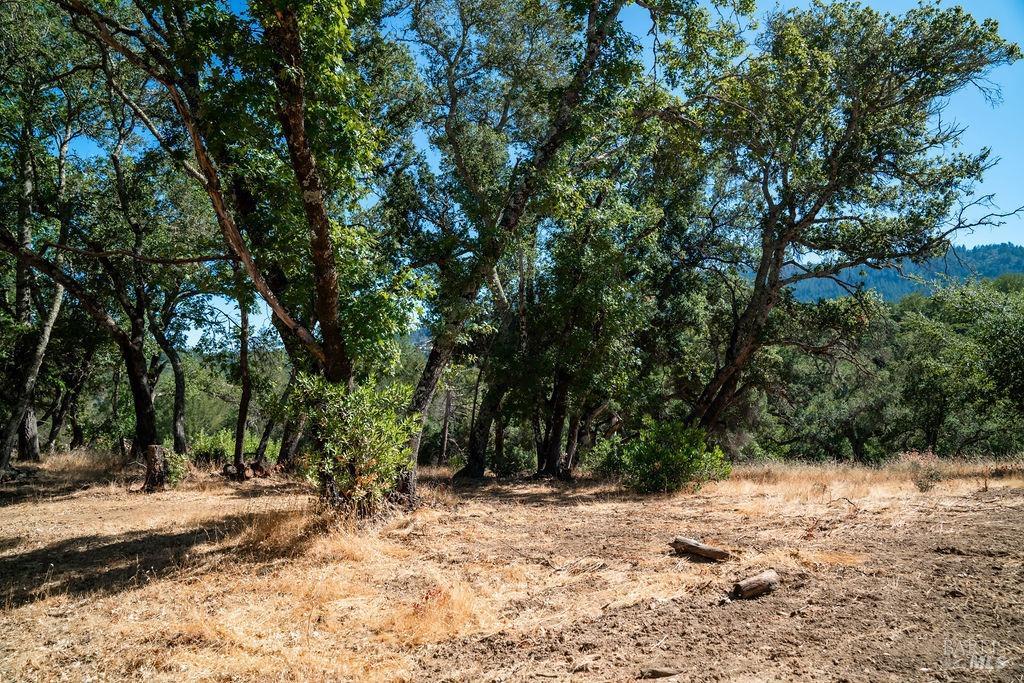 0 Mount Veeder Road