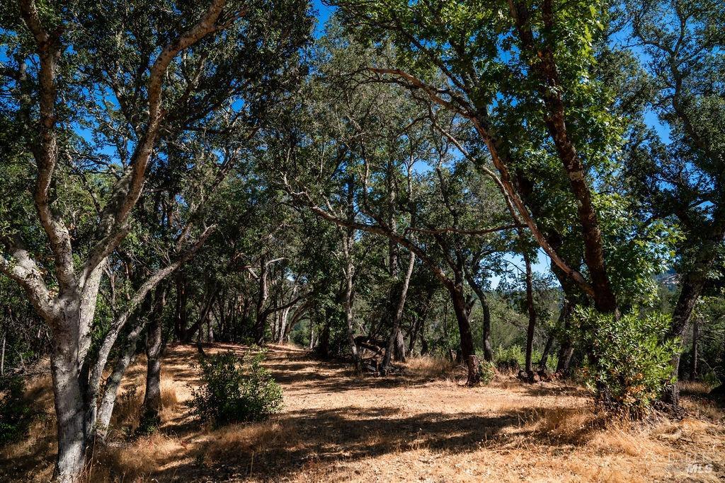 0 Mount Veeder Road