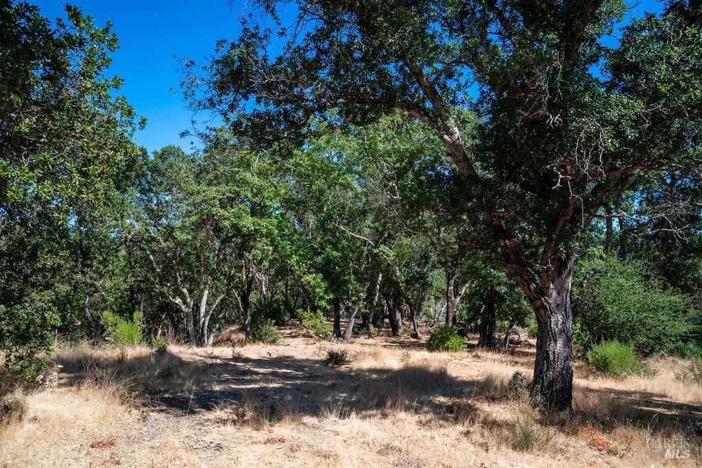 0 Mount Veeder Road