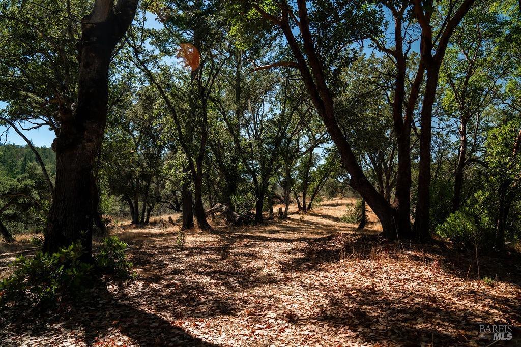 0 Mount Veeder Road