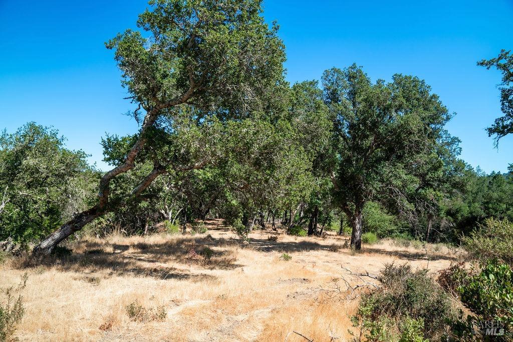 0 Mount Veeder Road