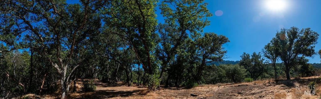 0 Mount Veeder Road