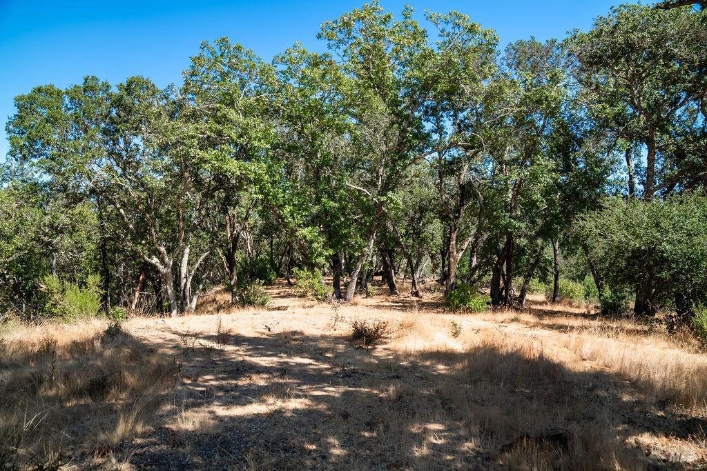 0 Mount Veeder Road