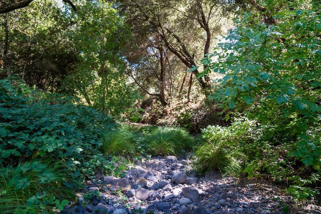 0 Mount Veeder Road