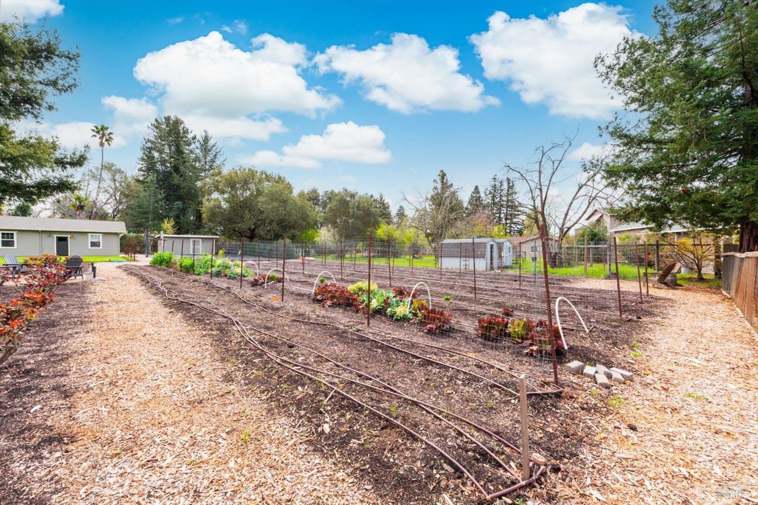 1111 Olive Hill Lane