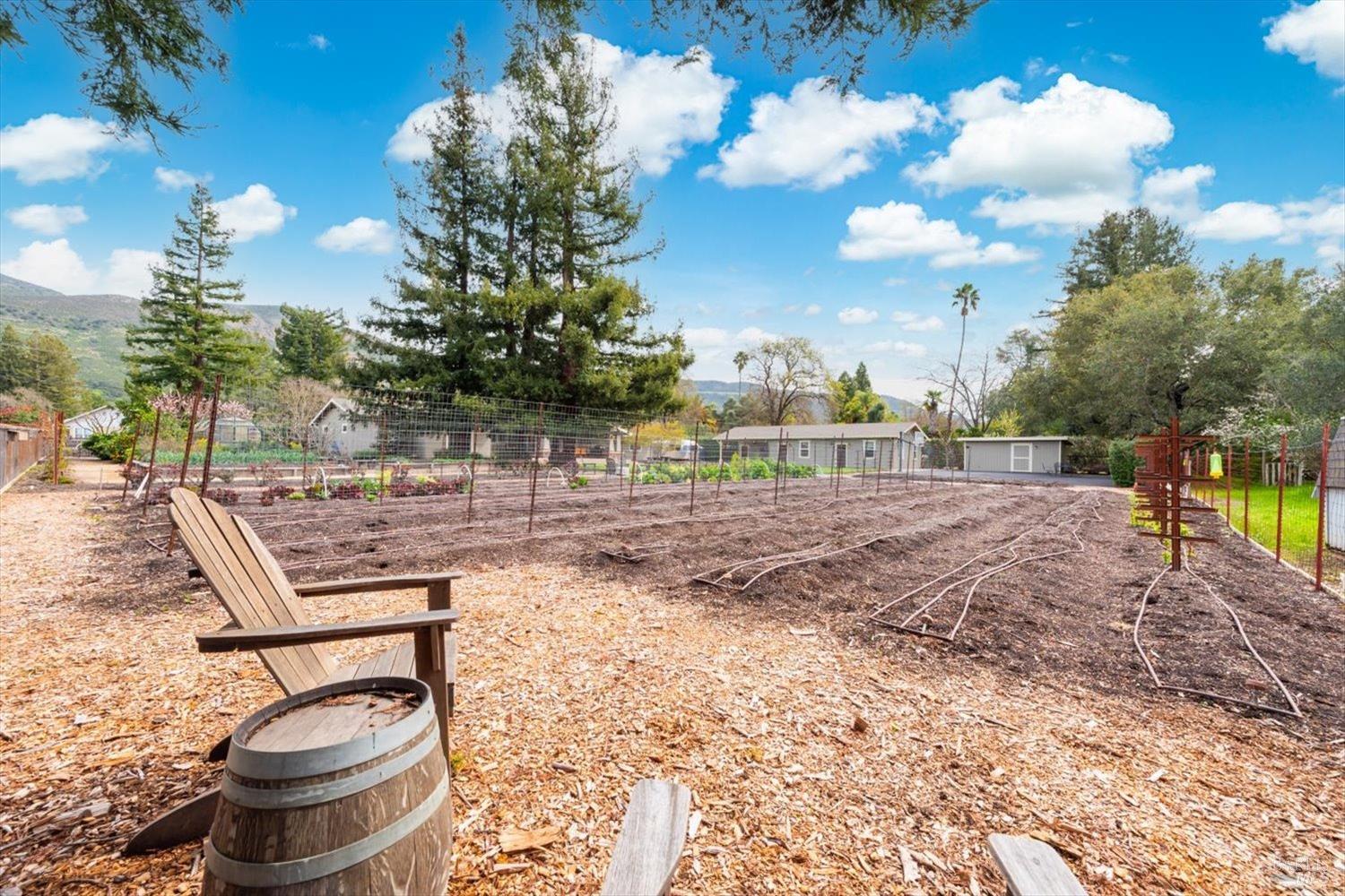 1111 Olive Hill Lane