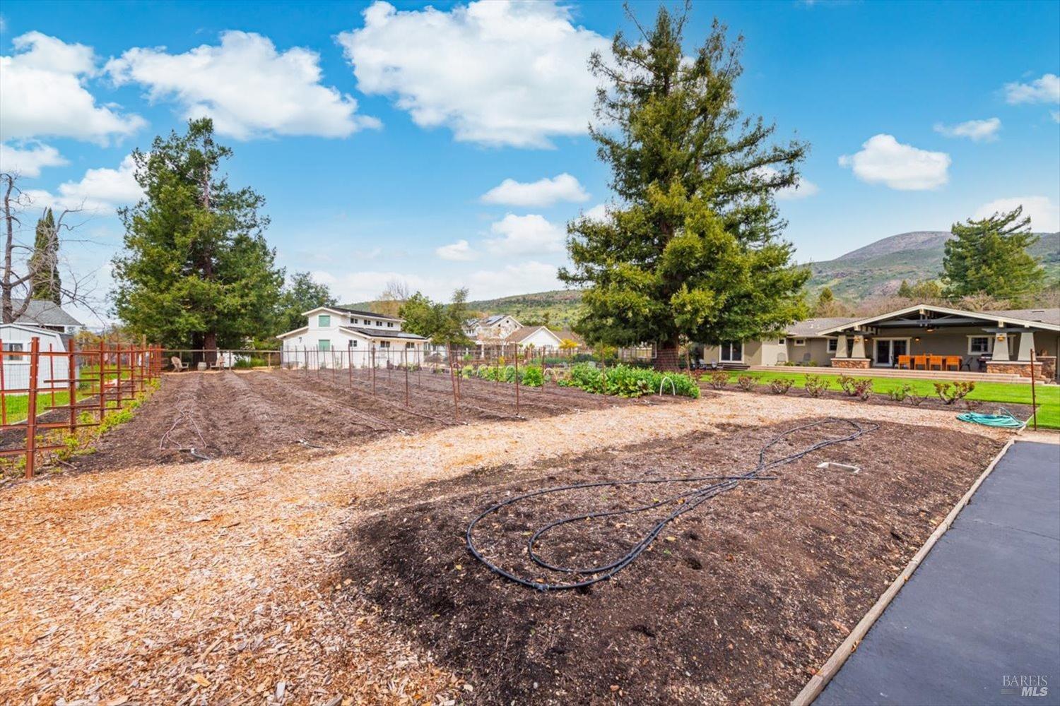 1111 Olive Hill Lane