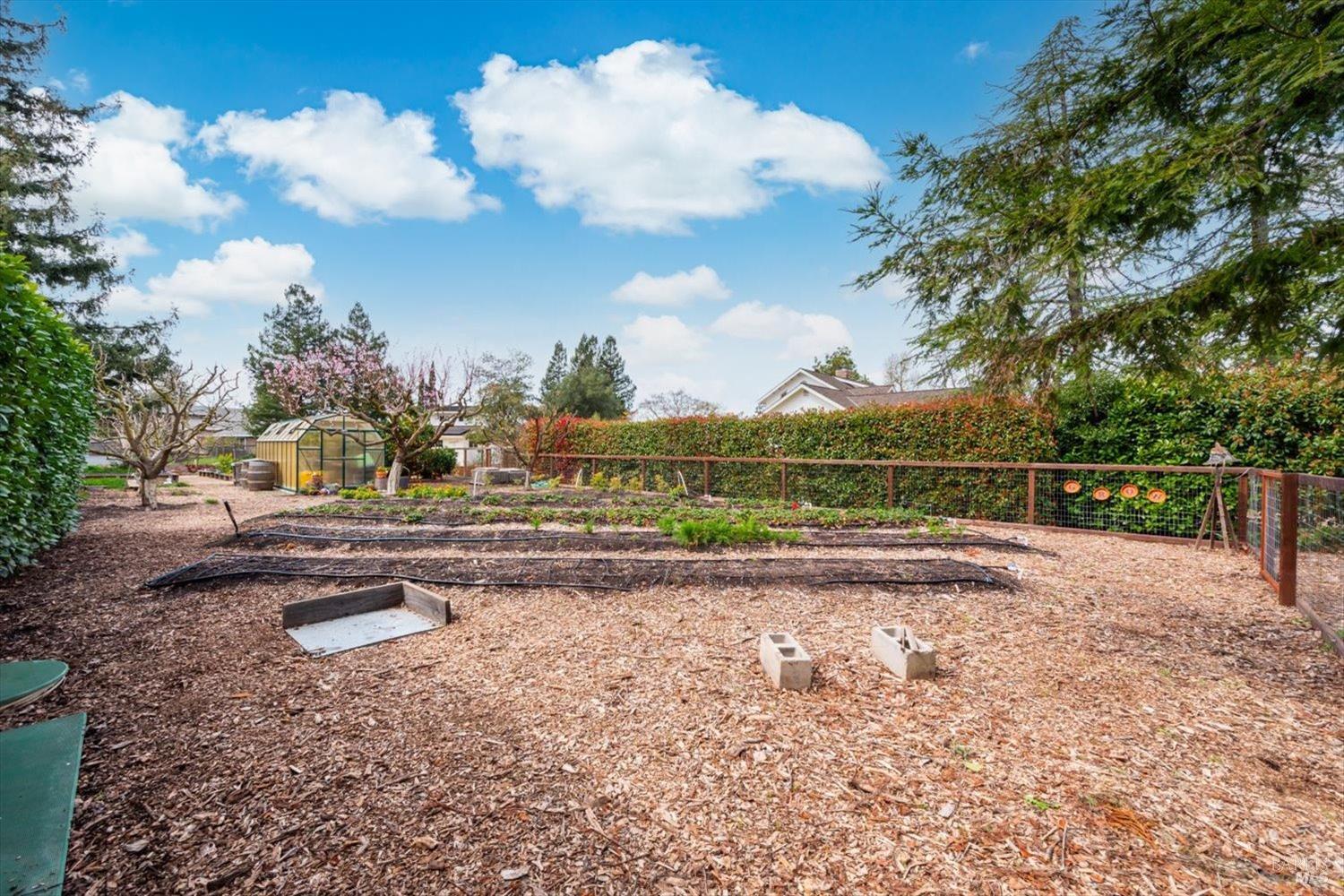 1111 Olive Hill Lane