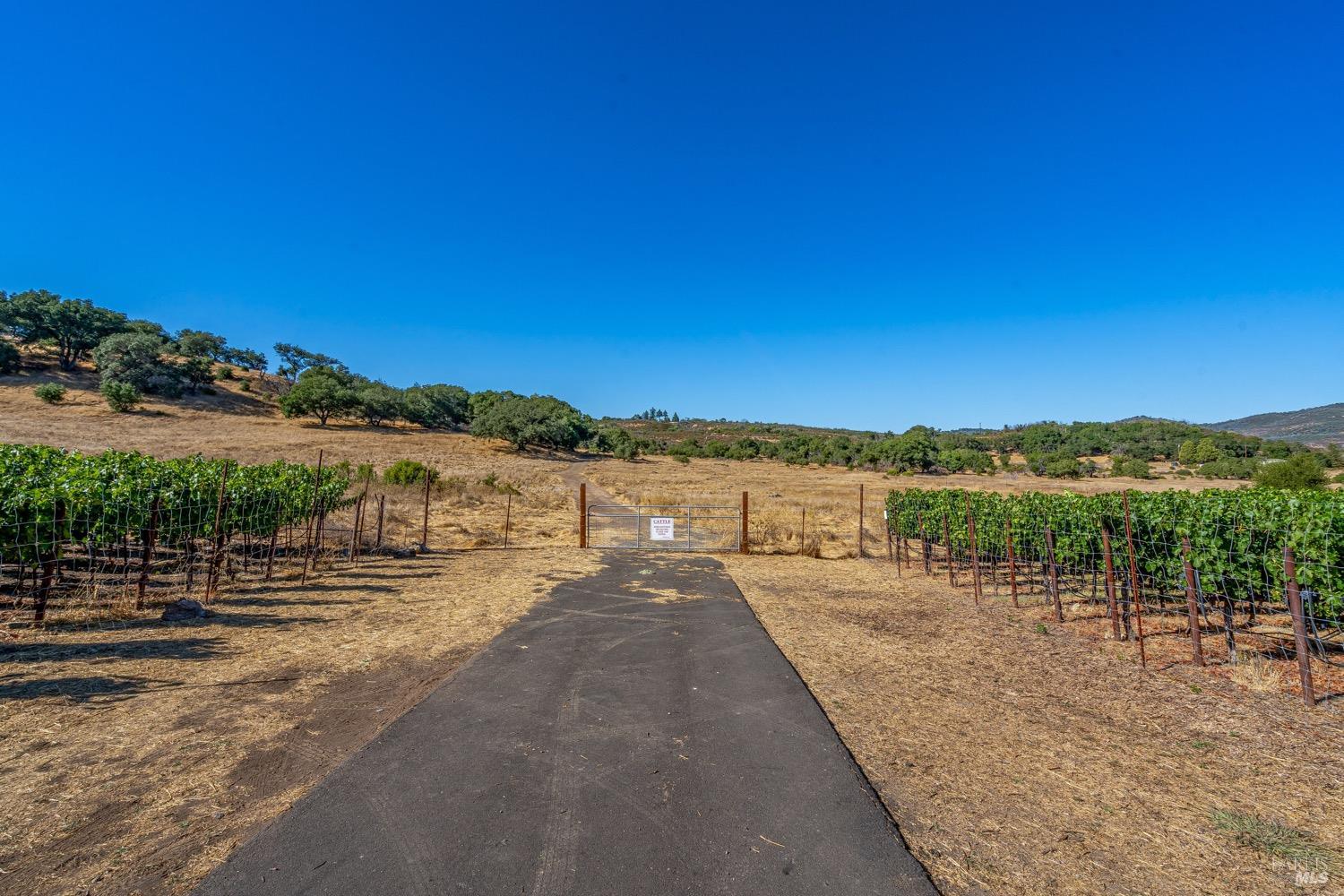 2863 Atlas Peak Road