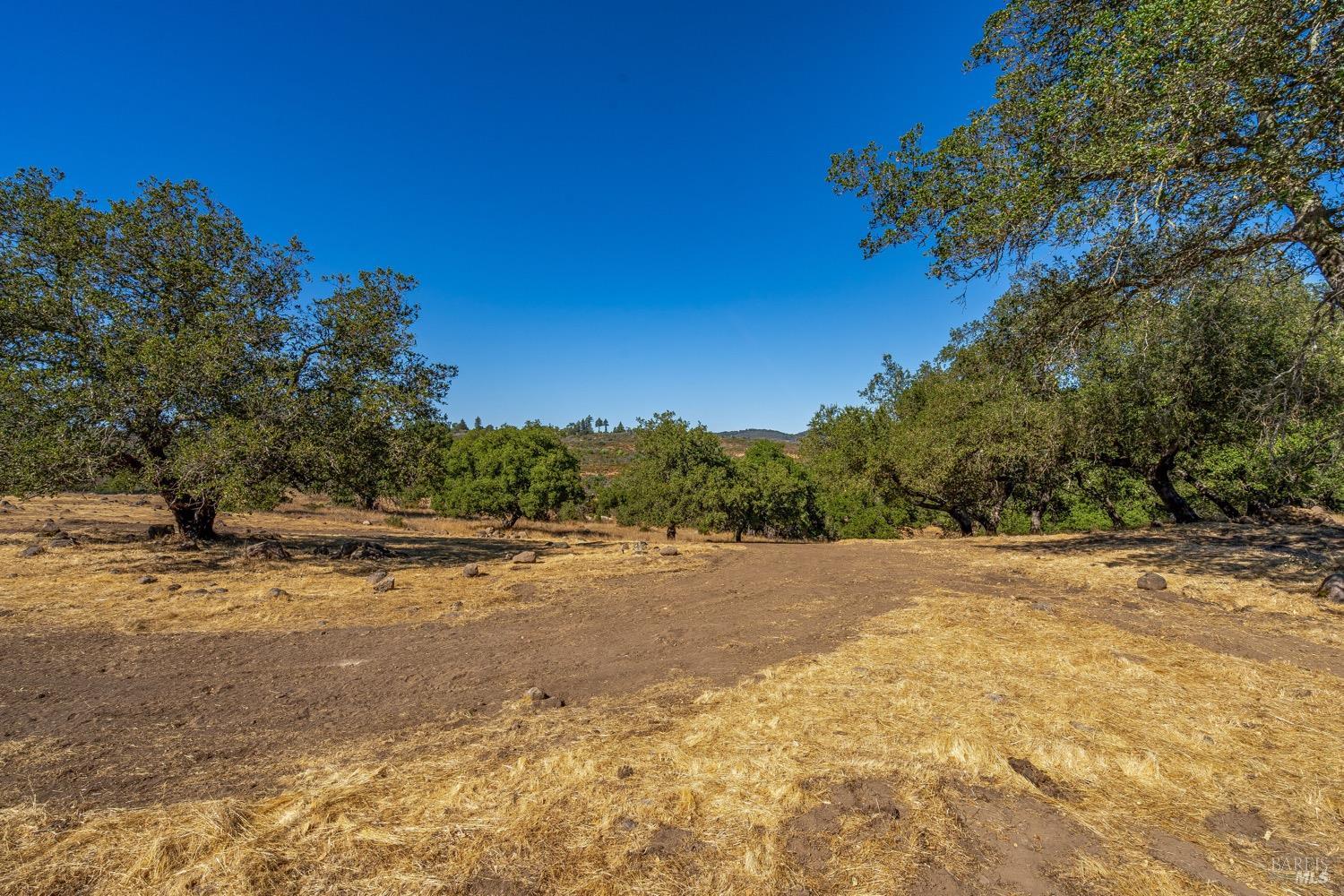 2863 Atlas Peak Road