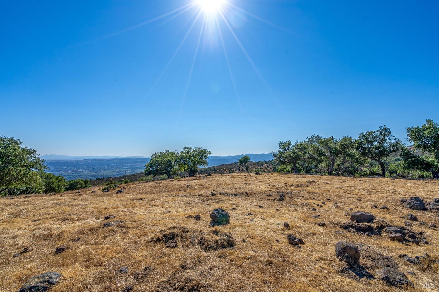 2863 Atlas Peak Road