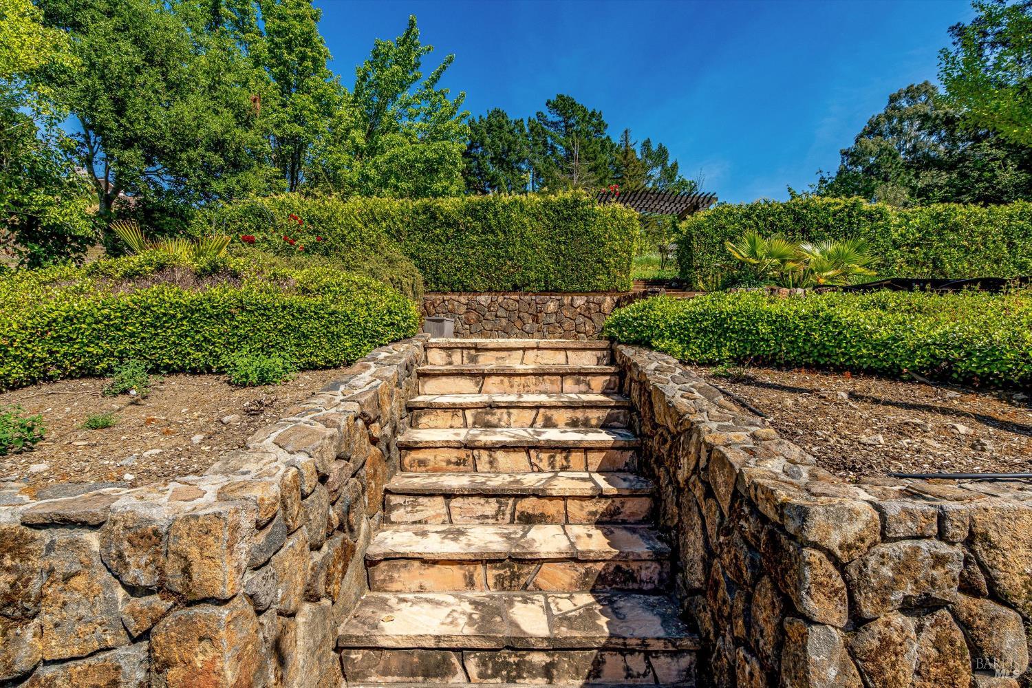 1116 Pinewood Drive