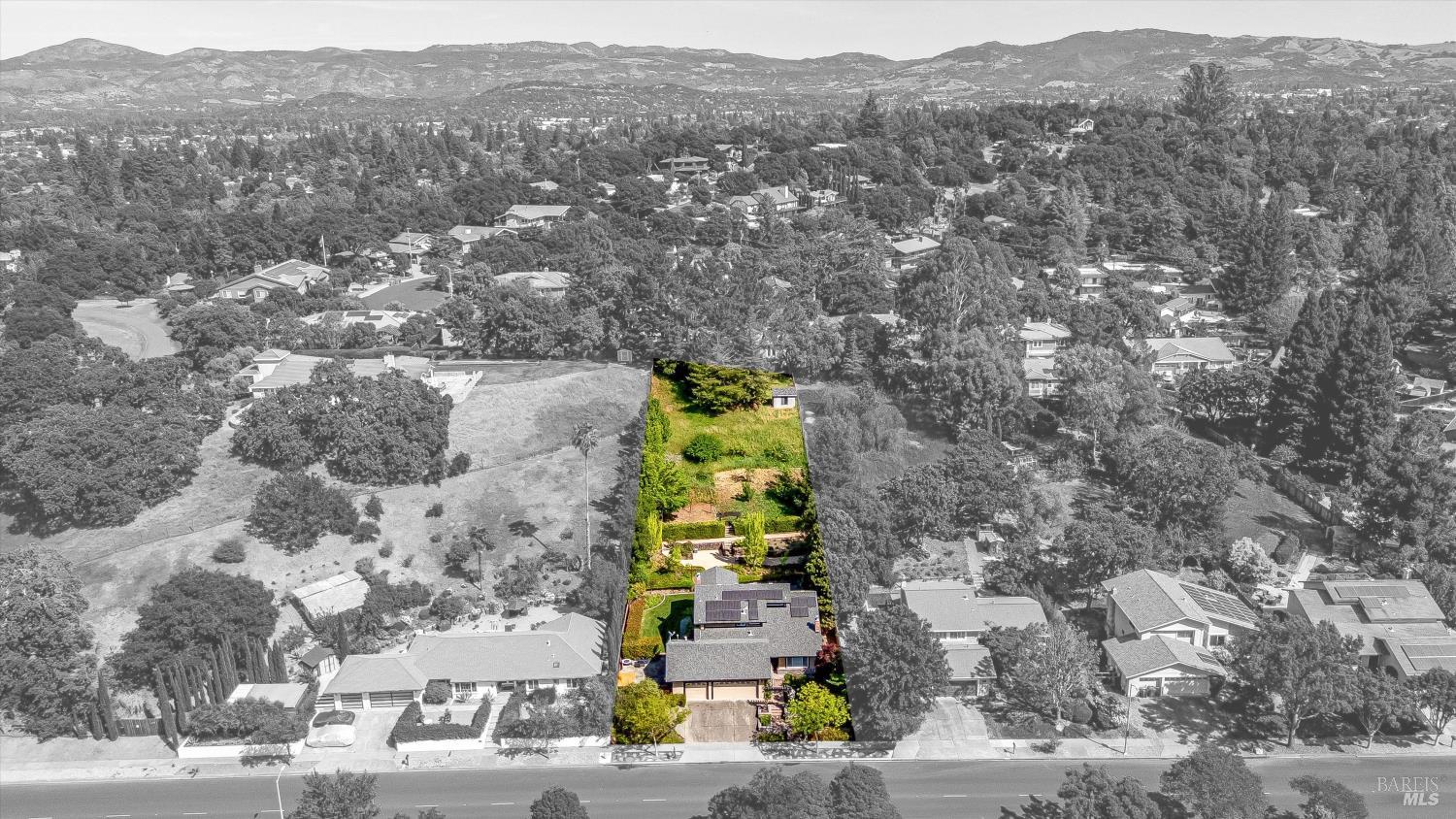 1116 Pinewood Drive