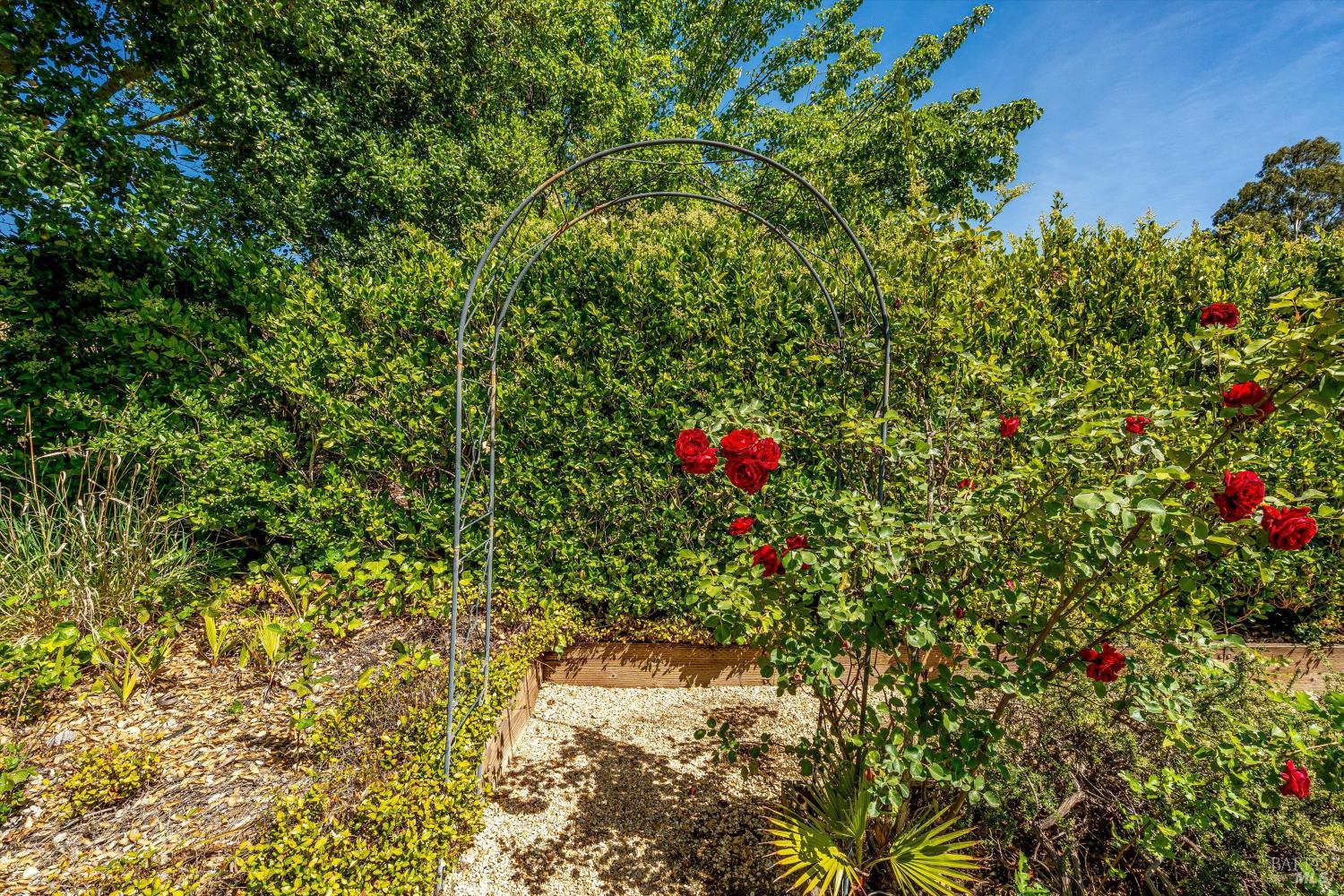 1116 Pinewood Drive