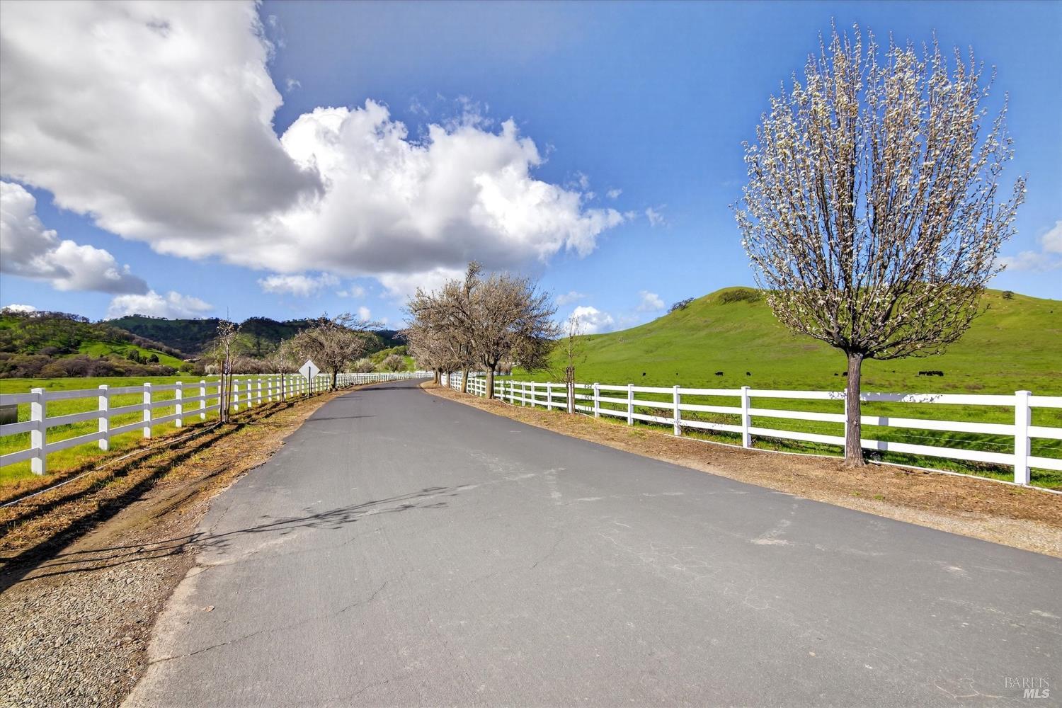 3467 Blue Mountain Drive