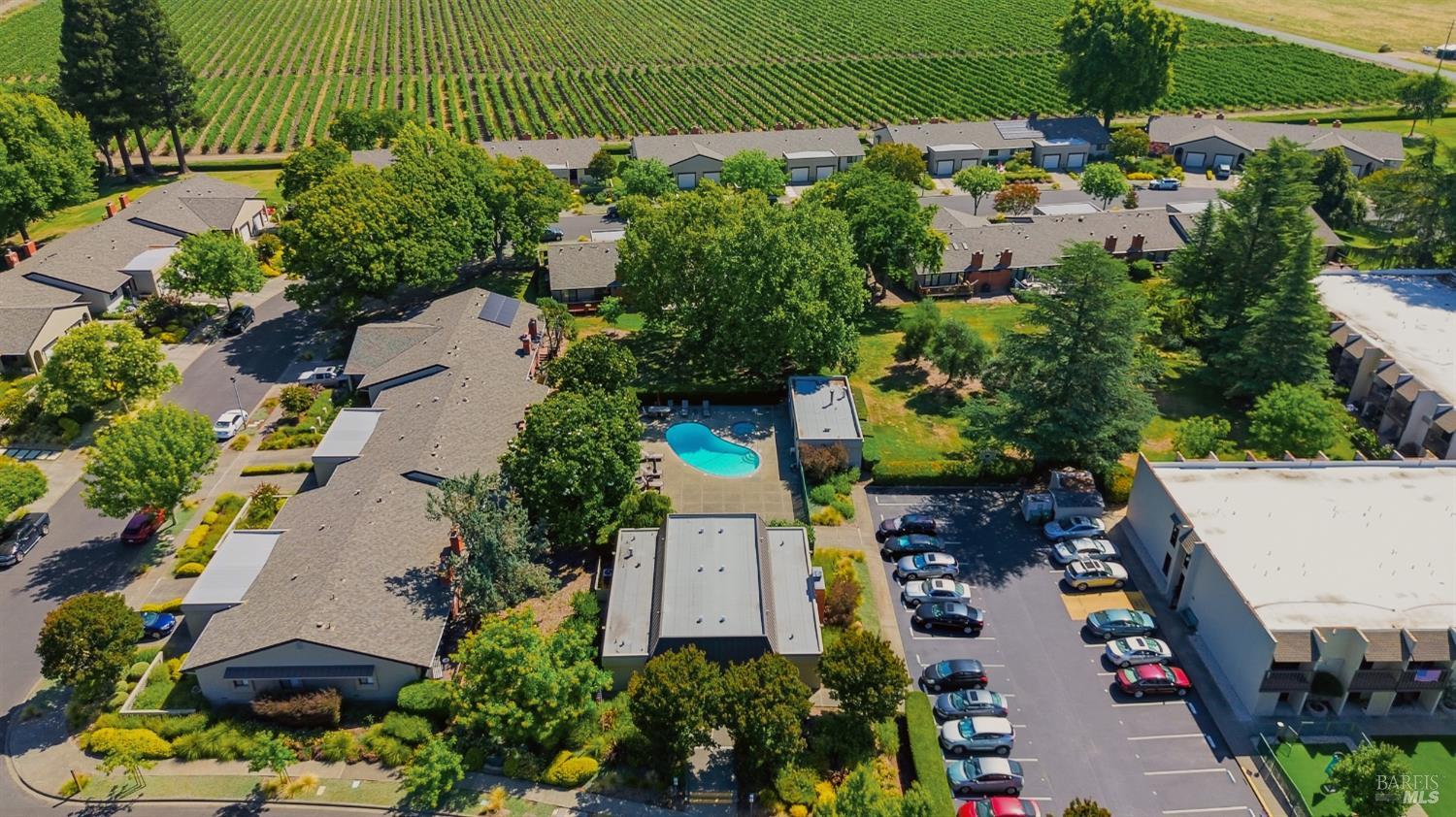 204 Vista Court