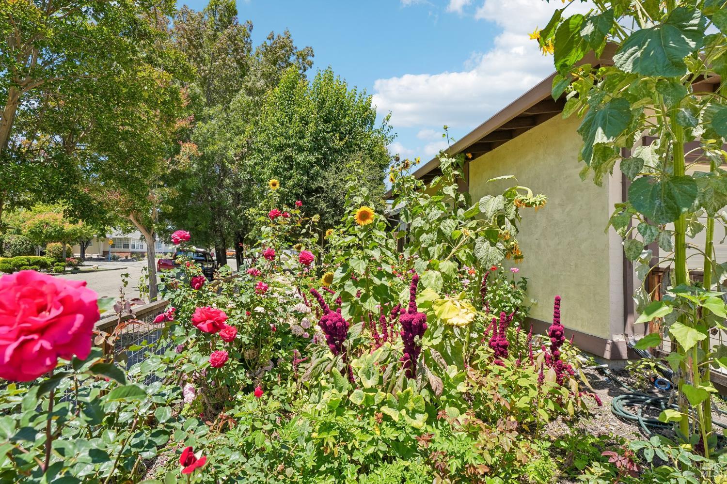 6644 Greenmeadow Drive