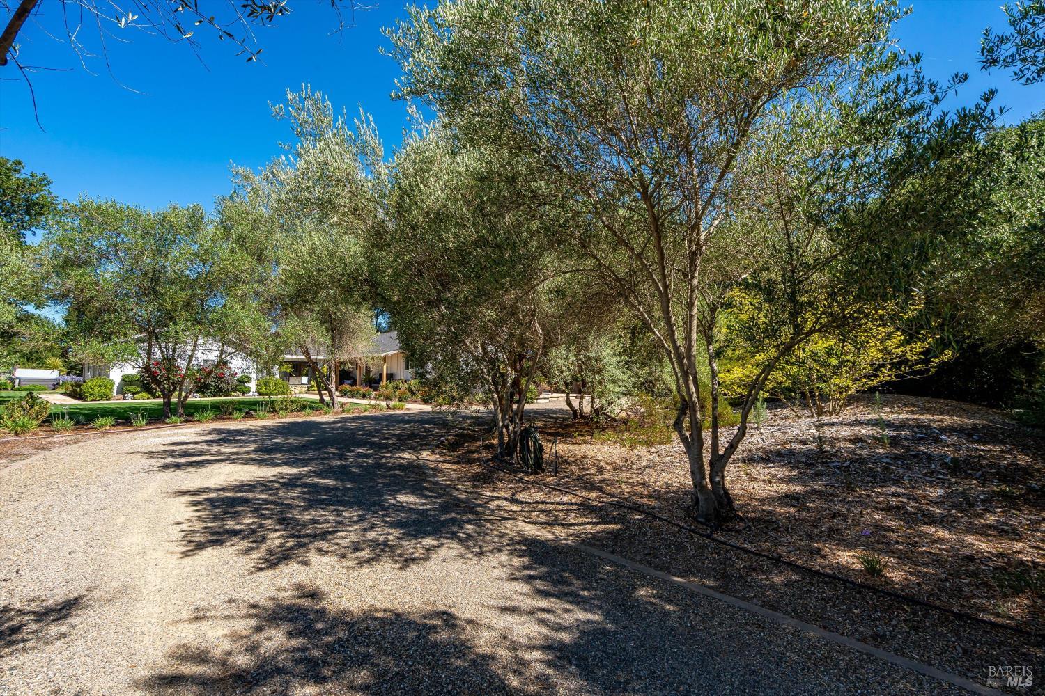 1054 Olive Hill Lane