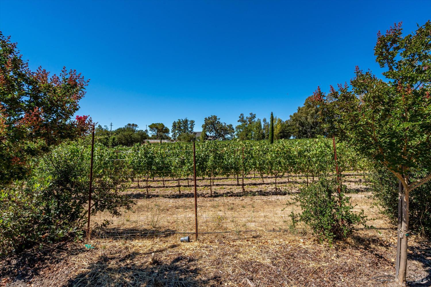 1054 Olive Hill Lane