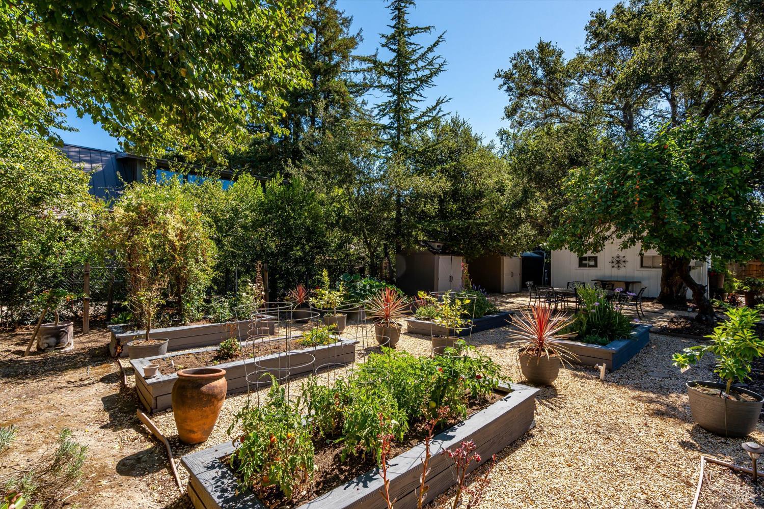 1054 Olive Hill Lane