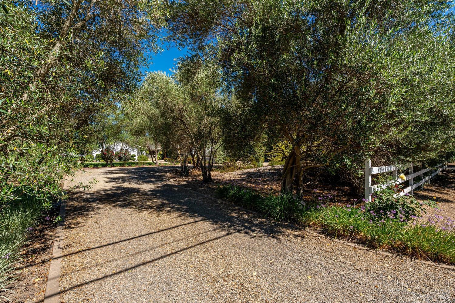 1054 Olive Hill Lane