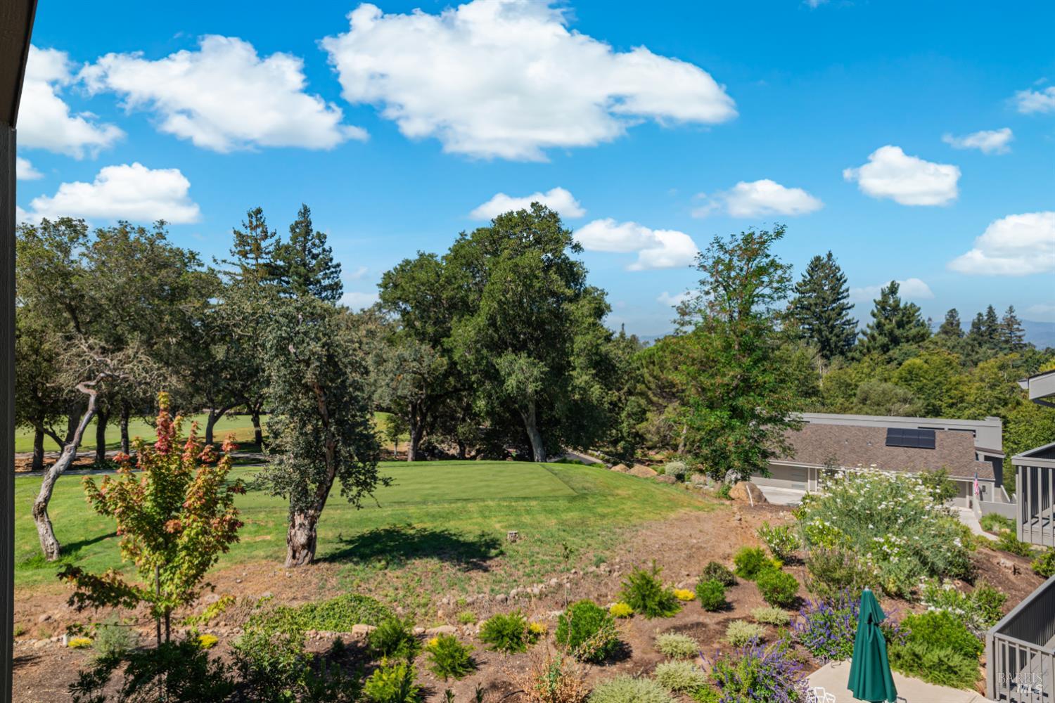 19 Tamarack Drive