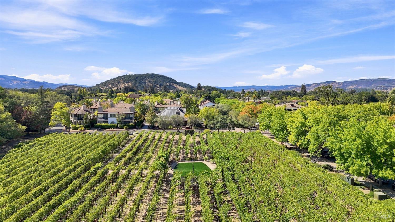 114 Vineyard Circle