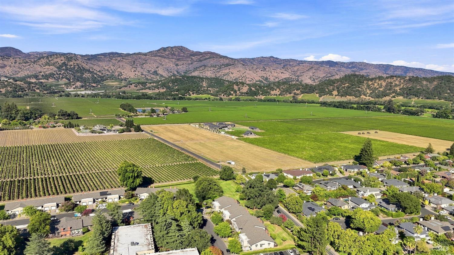 114 Vineyard Circle