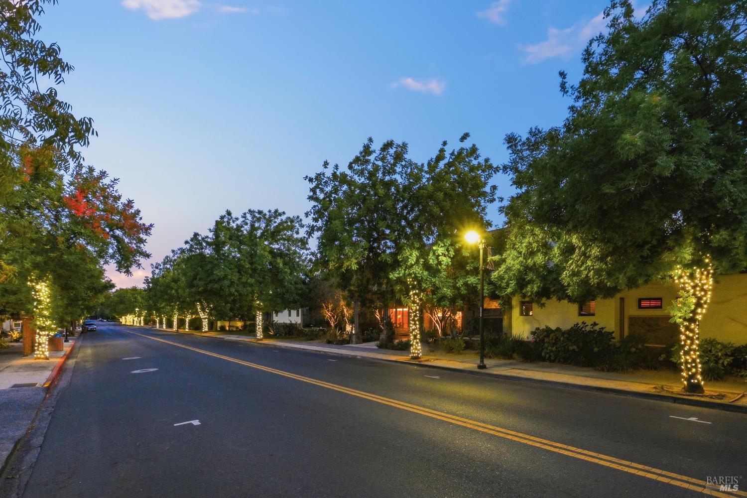 114 Vineyard Circle