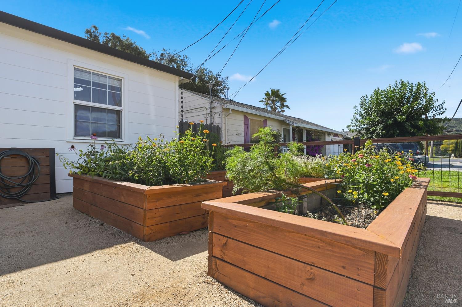 230 Chelsea Avenue