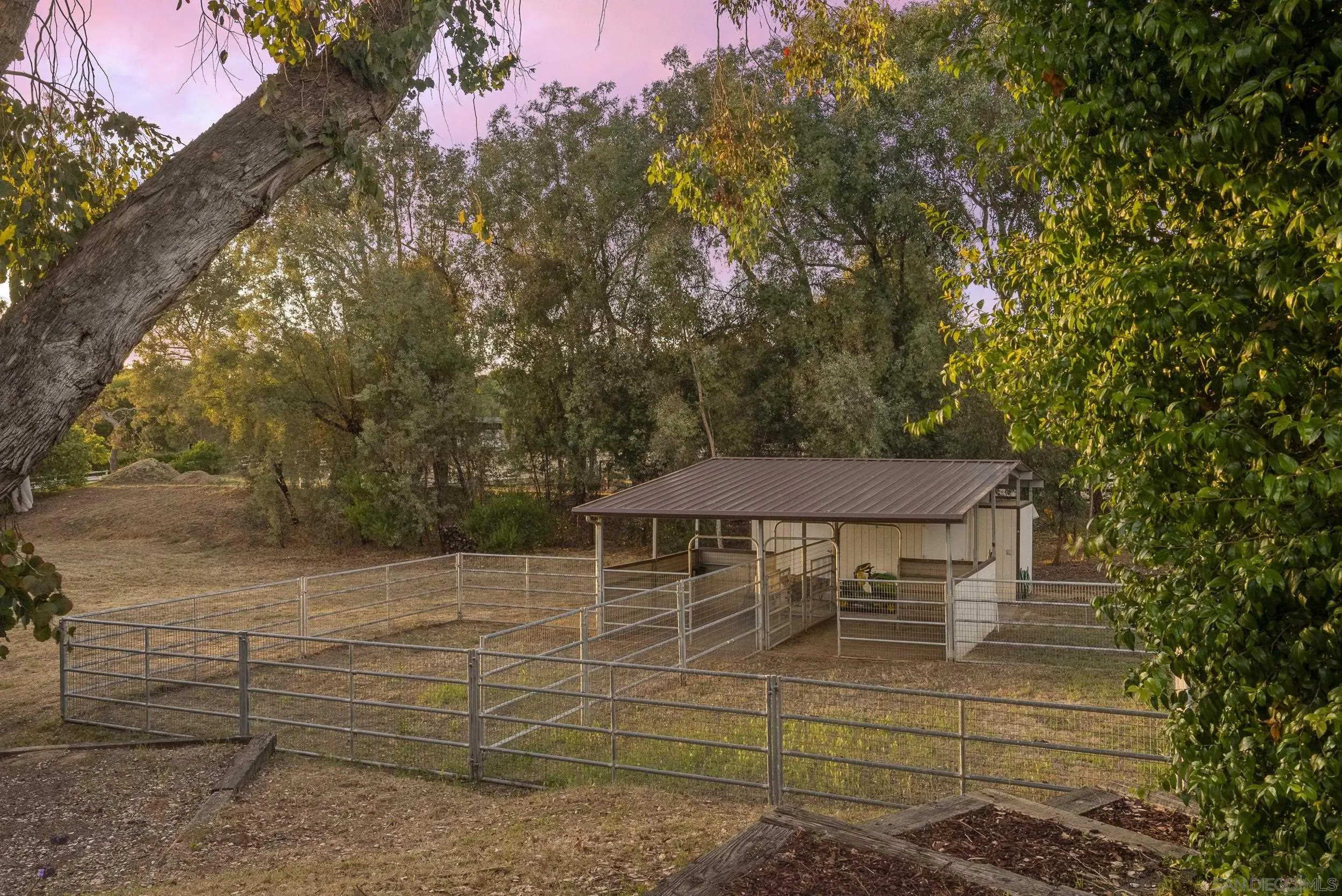5 Country Glen