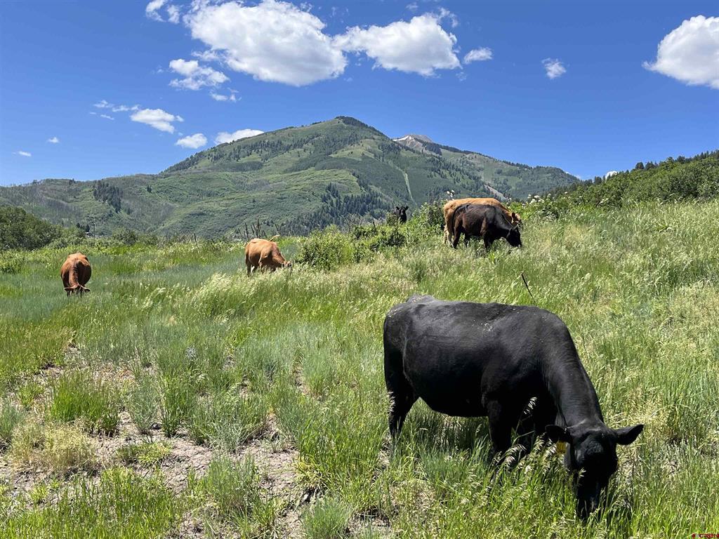 3456 County Road 124