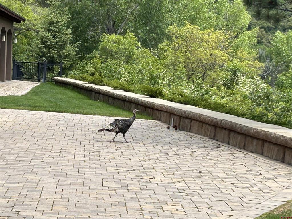 3456 County Road 124