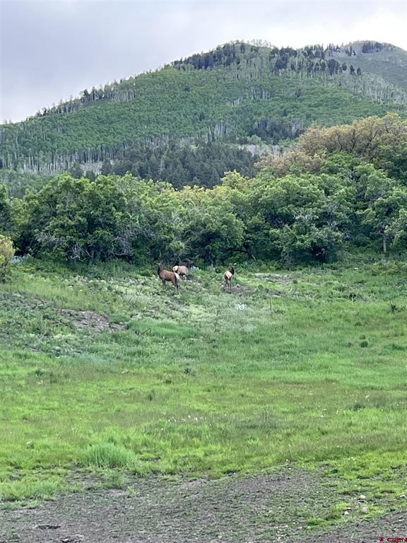 3456 County Road 124