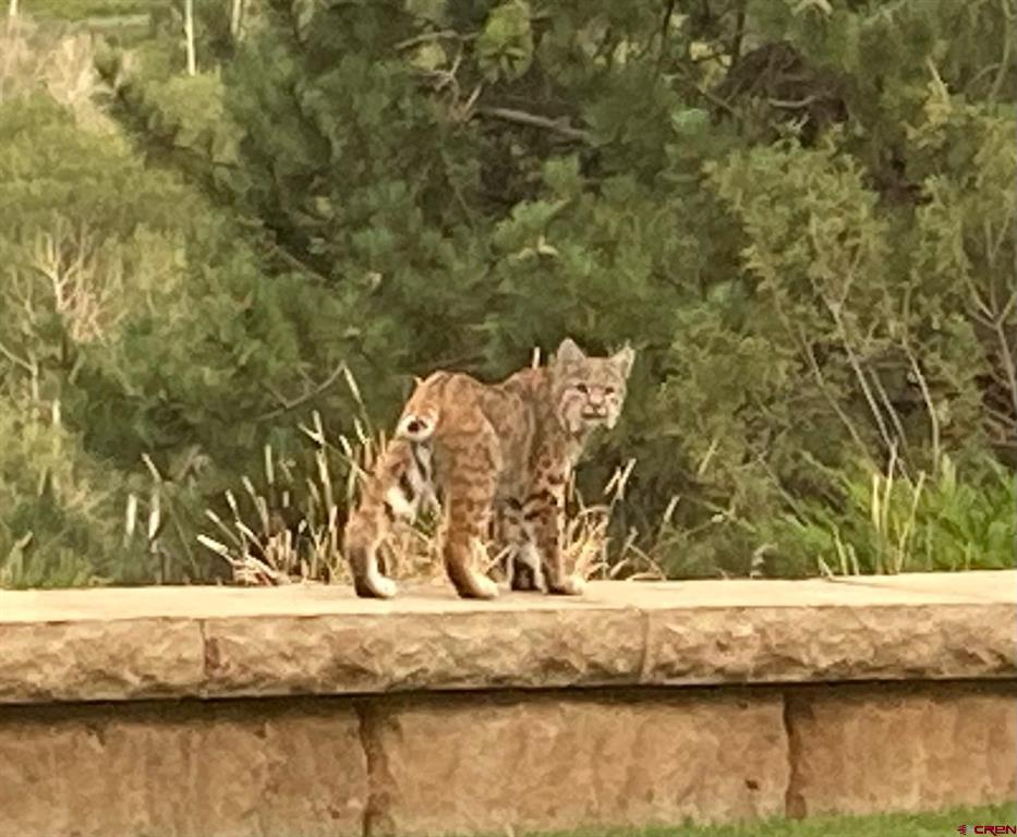 3456 County Road 124