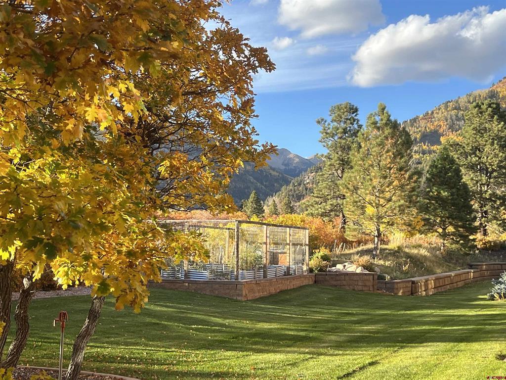 3456 County Road 124