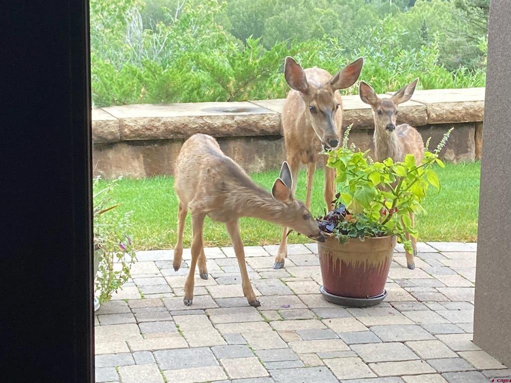 3456 County Road 124