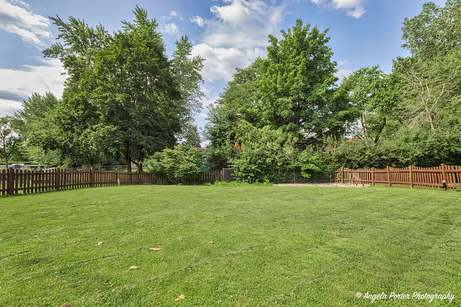 233 W Tanglewood Drive