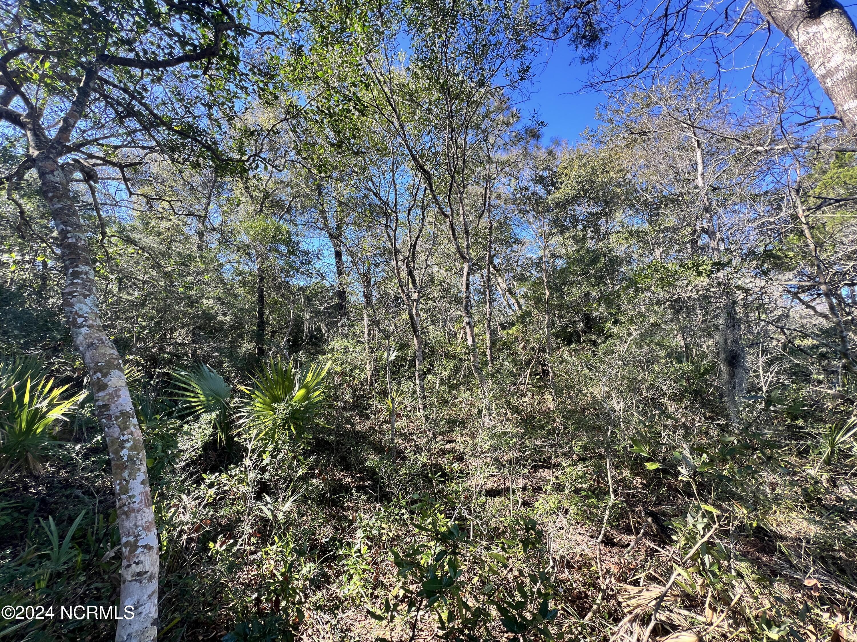 50 Cape Creek Road