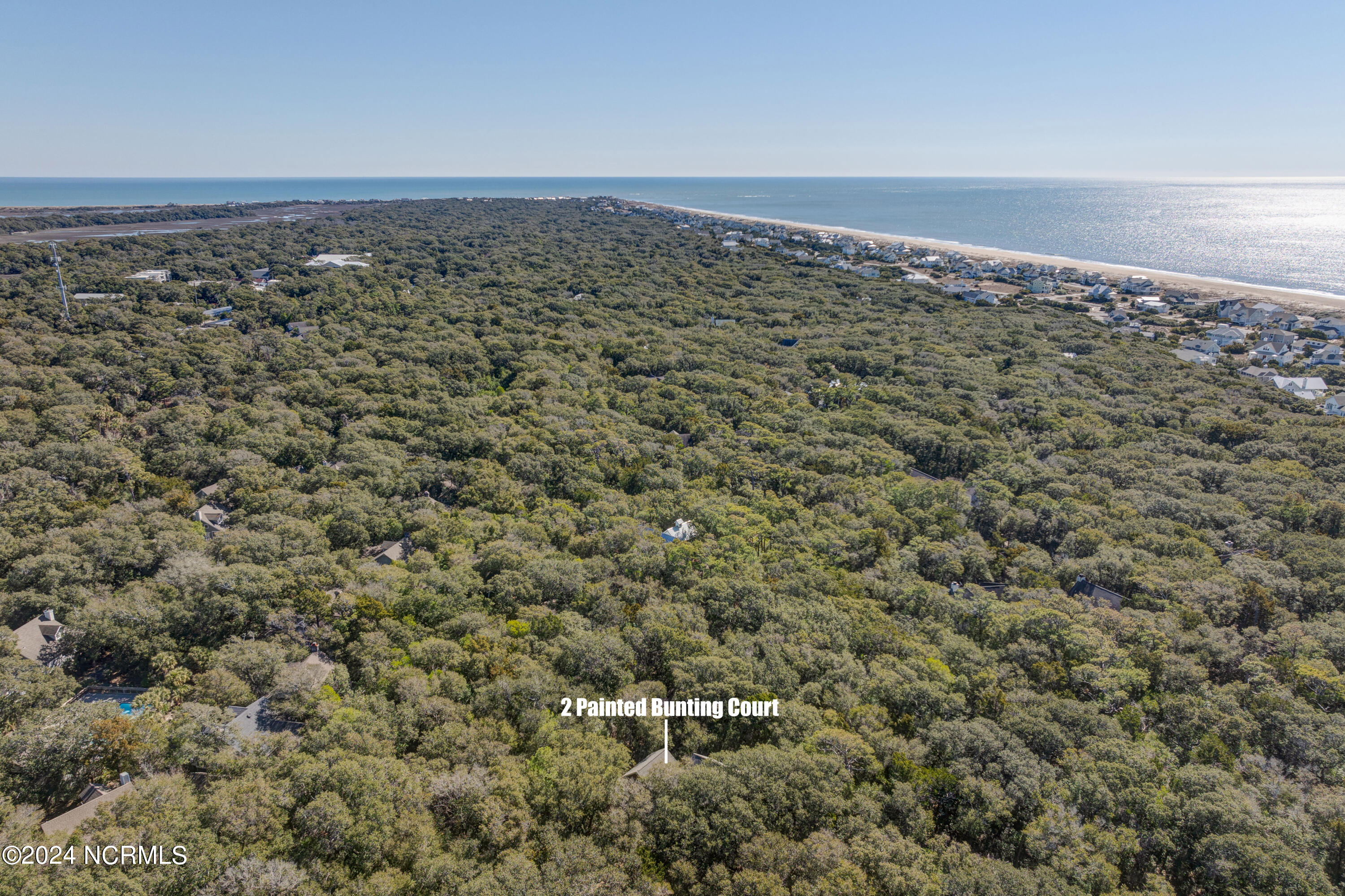 2 Painted Bunting Court