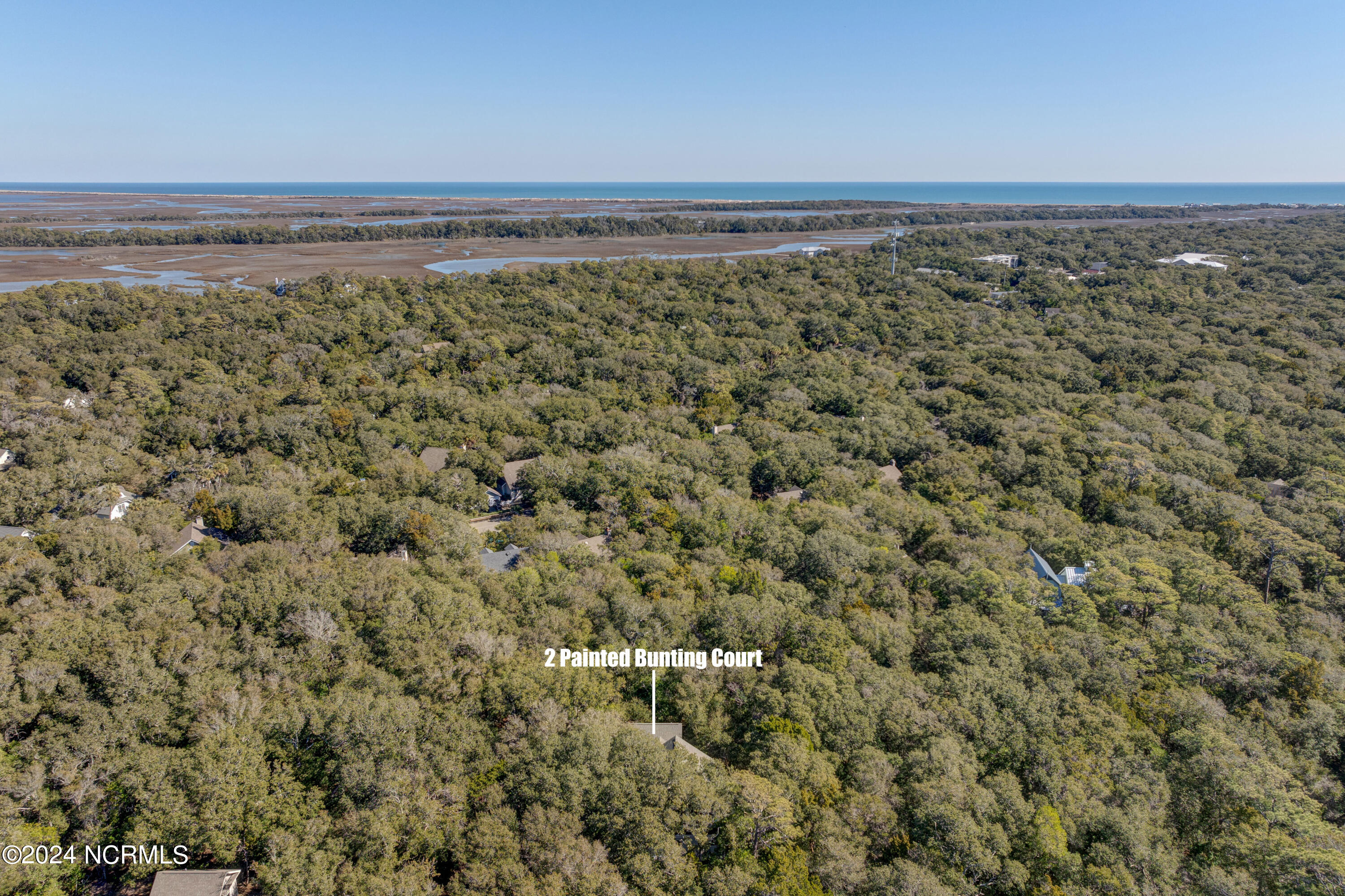 2 Painted Bunting Court